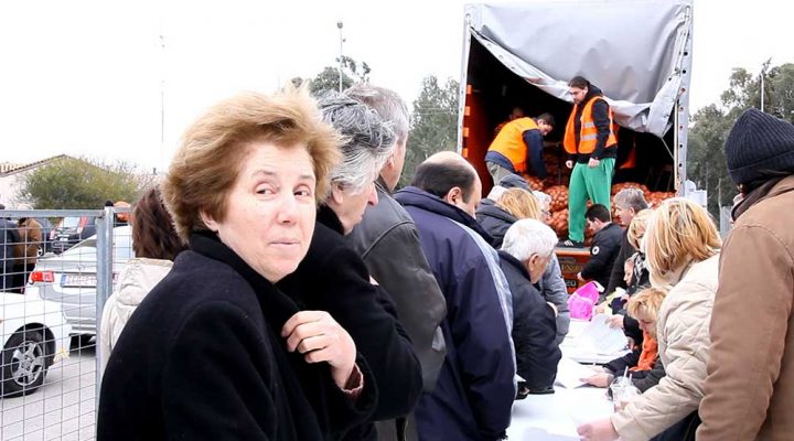 11.03.2012 – POTATO MOVEMENT: FREE DISTRIBUTION